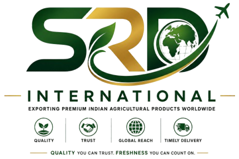 cropped logo.png